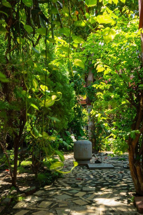 Hostal Lazybones León المظهر الخارجي الصورة