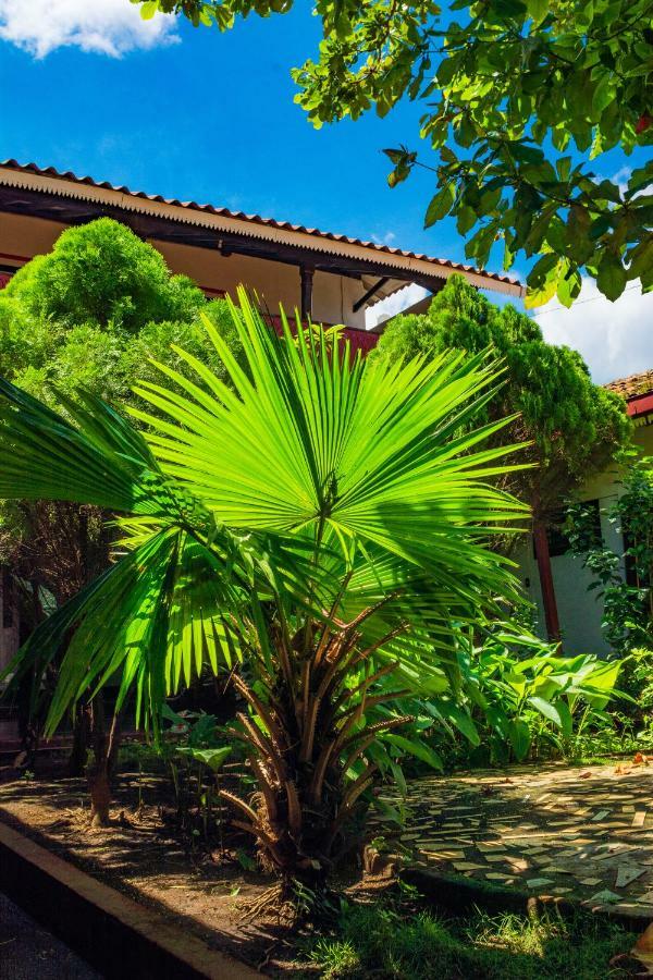 Hostal Lazybones León المظهر الخارجي الصورة